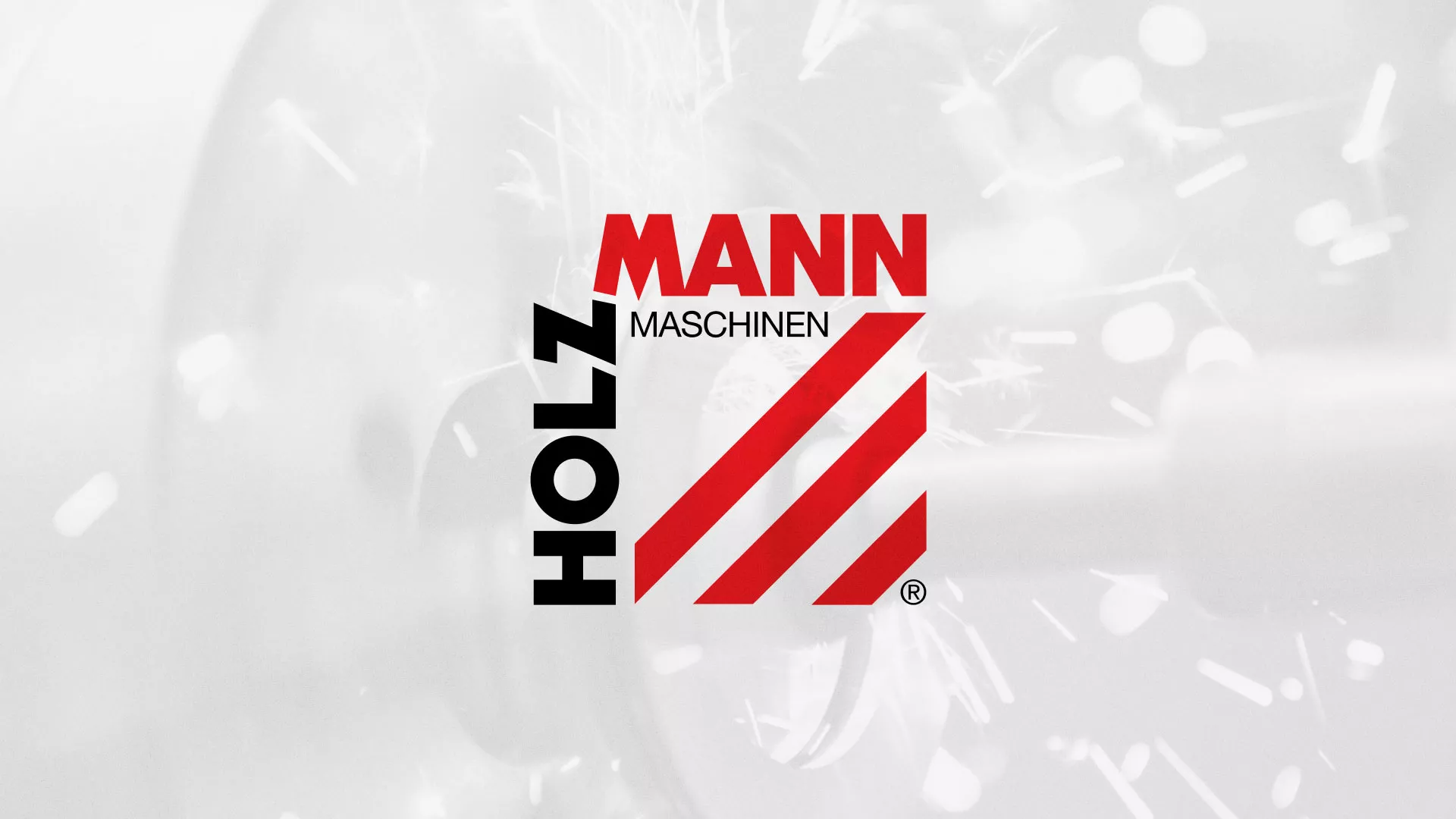 Создание сайта компании «HOLZMANN Maschinen GmbH» в Ветлуге